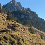 Uferweg *